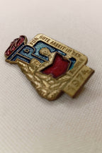 DDR Pionierabzeichen "Für gute Arbeit in der Schule" (JP) – Jahrgang 1974