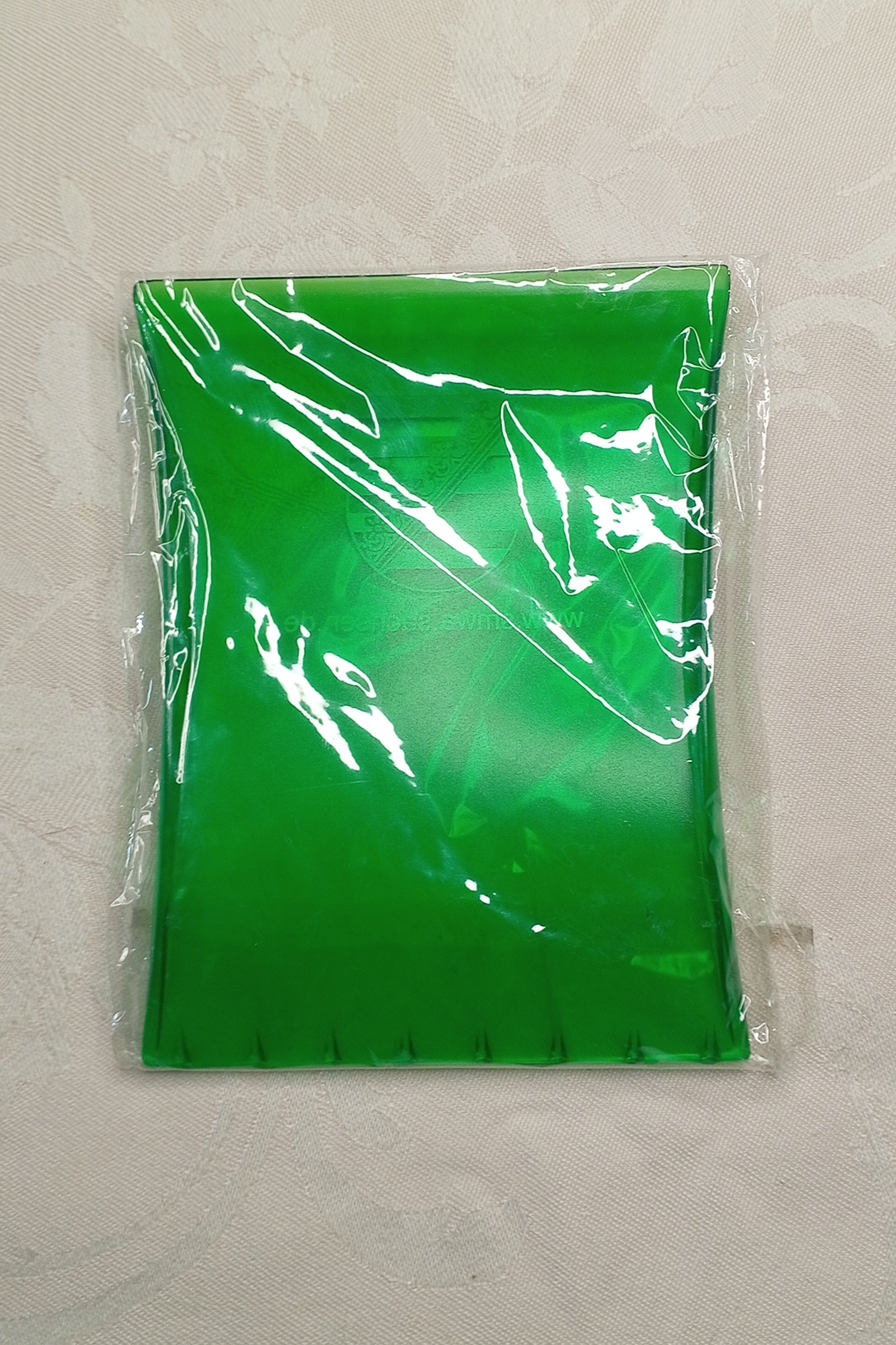 Eiskratzer "Freistaat Sachsen" – Grün mit Wappen (Neu & OVP)