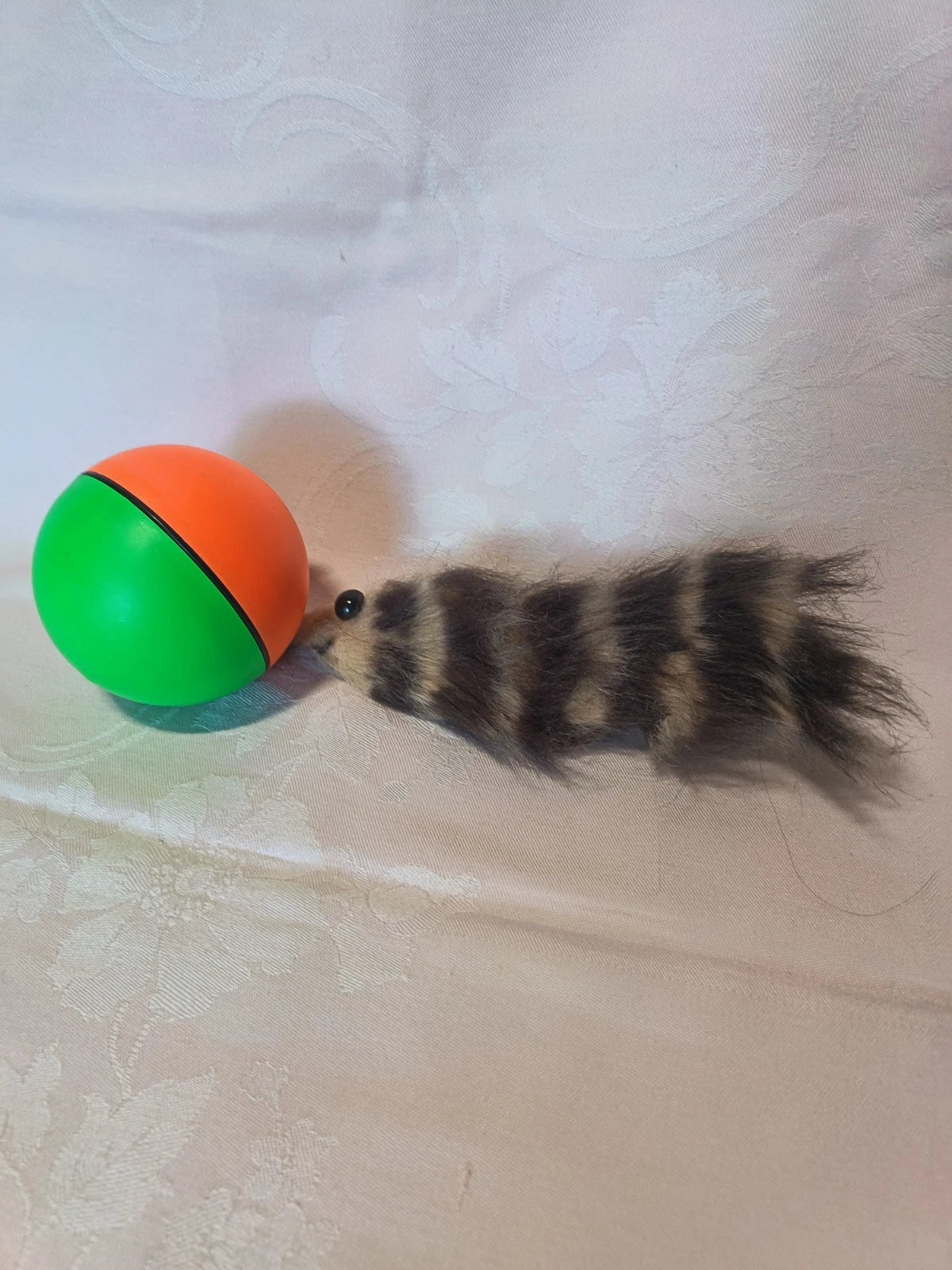 Wieselball / Chaser Ball – Motorisierter Spielball für Katzen & Hunde | NEU